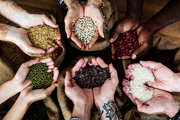 Grupo SH Brasil :: Saiba como aproveitar os benefícios dos grãos e sementes na alimentação.